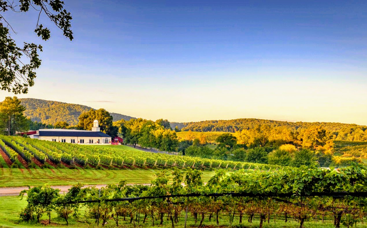 Two Wineries for a Relaxing Charlottesville Getaway Virginia Wineries