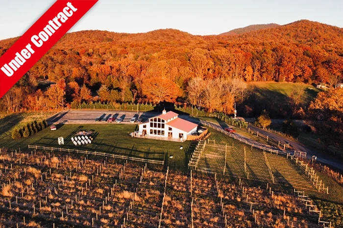 Idyllic Wedding / Event / Vineyard venue in the Heart of Shenandoah Valley